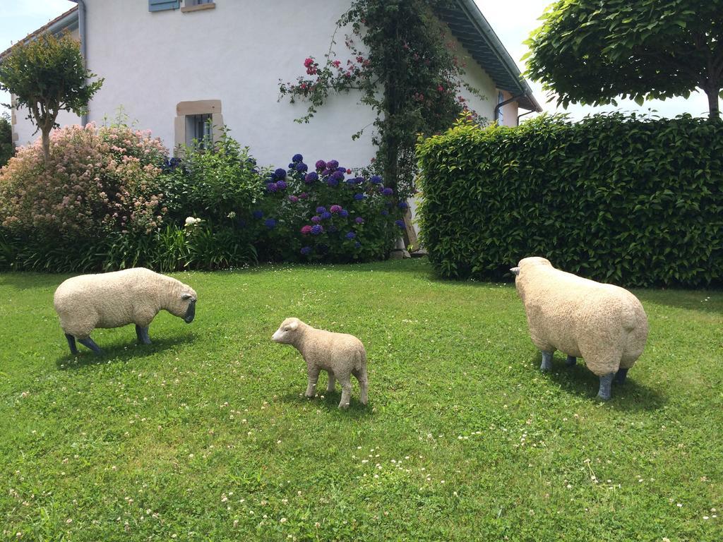 アルカング Les Volets Bleus Bed & Breakfast エクステリア 写真